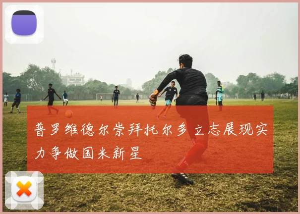 普罗维德尔崇拜托尔多立志展现实力争做国米新星